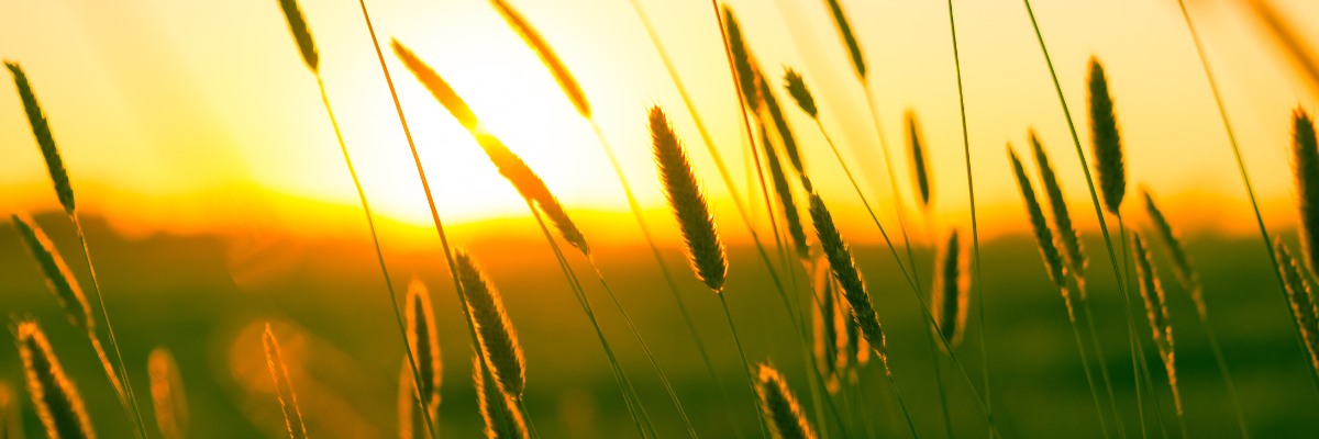 Escape the Cold: Finding Warmth and Relaxation During The Winter